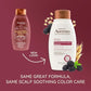 OGX Aveeno Color Protect Strengthen+ Blackberry Quinoa Shampoo, Fresh, 12 Fl Oz