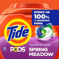 Tide Pods Liquid Laundry Detergent Pacs, Spring Meadow, 42 Count (Pack of 4)