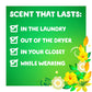 Gain + Aroma Boost Liquid Laundry Detergent, Original Scent, 6 Loads, 10 fl oz, HE Compatible, Pack of 12