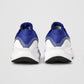 Nike Men's Revolution 8 Road Running Shoes, Deep Royal Blue/White-World Indigo-Black, 10