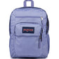 JanSport Laptop Backpack - Computer Bag with 2 Compartments, Ergonomic Shoulder Straps, 15” Laptop Sleeve, Haul Handle - Lavender Ash