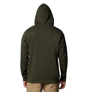 Columbia Men's Trek Graphic Hoodie, Greenscape/Treestripe Flag, XX-Large