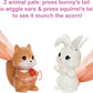 Barbie It Takes Two Camping Playset with Tent, 2 Barbie Dolls & 20 Pieces Including Animals, Telescope & Accessories, Toy for 3 Year Olds & Up (Amazon Exclusive)