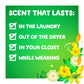 Gain + Aroma Boost Liquid Laundry Detergent, Original Scent, 6 Loads, 10 fl oz, HE Compatible, Pack of 12
