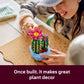 LEGO Botanicals Flowering Cactus Building Toy - Crafting Kit for Girls & Boys, Ages 9+ - Gift for Birthdays - Cactus Room Decor for Display for Bedroom or Book Shelf - 11509