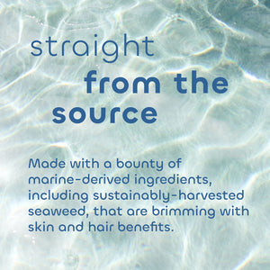 Seaweed Bath Co. Hydrate Body Cream, Citrus Vanilla Scent, 6 Ounce, Nourishing Hand & Body Lotion Moisturizer for Dry Skin, with Sustainably Harvested Seaweed, Kukui Oil, Hyaluronic Acid, Shea Butter