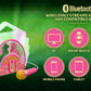 Wicked Karaoke Microphone with Boombox for Fans of Toddler Toys, Kids Karaoke Machine with Built in Music (Wicked)