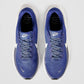 Nike Men's Revolution 8 Road Running Shoes, Deep Royal Blue/White-World Indigo-Black, 10