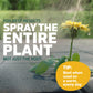 Spruce EZ-AIM Grass and Weed Killer Spray - Precision Shot for Cracks, Edges & Small Spaces - Starts Wilting in 1 Hour, Dead Weeds in 24 Hours (3 Pack, 10 Oz Each)