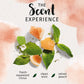 Herbal Essences bio:renew White Grapefruit & Mosa Mint Naked Volume Shampoo, 13.5 fl oz