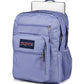 JanSport Laptop Backpack - Computer Bag with 2 Compartments, Ergonomic Shoulder Straps, 15” Laptop Sleeve, Haul Handle - Lavender Ash