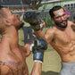 EA SPORTS UFC 4 - PlayStation 4