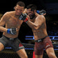 EA SPORTS UFC 4 - PlayStation 4