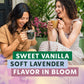 Vanilla Lavendar_Medium Roast