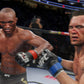 EA SPORTS UFC 4 - PlayStation 4