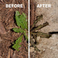 Spruce Weed Killer Spray - Snap & Spray Weed & Grass Killer₂ Powered Starter Kit - Reusable Sprayer with Wand for Spot-Treating Driveways, Gardens & More (64 Oz Bottle)