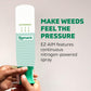 Spruce EZ-AIM Grass and Weed Killer Spray - Precision Shot for Cracks, Edges & Small Spaces - Starts Wilting in 1 Hour, Dead Weeds in 24 Hours (3 Pack, 10 Oz Each)