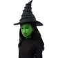 Wicked Singing Elphaba 11" Fashion Doll Posable with Removable Movie Fashions 🆕